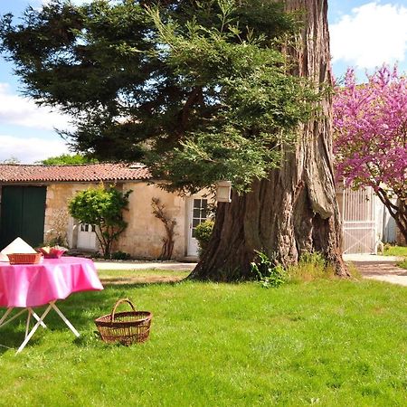 Bed and Breakfast Le Logis Du Plessis Chaniers Exterior foto