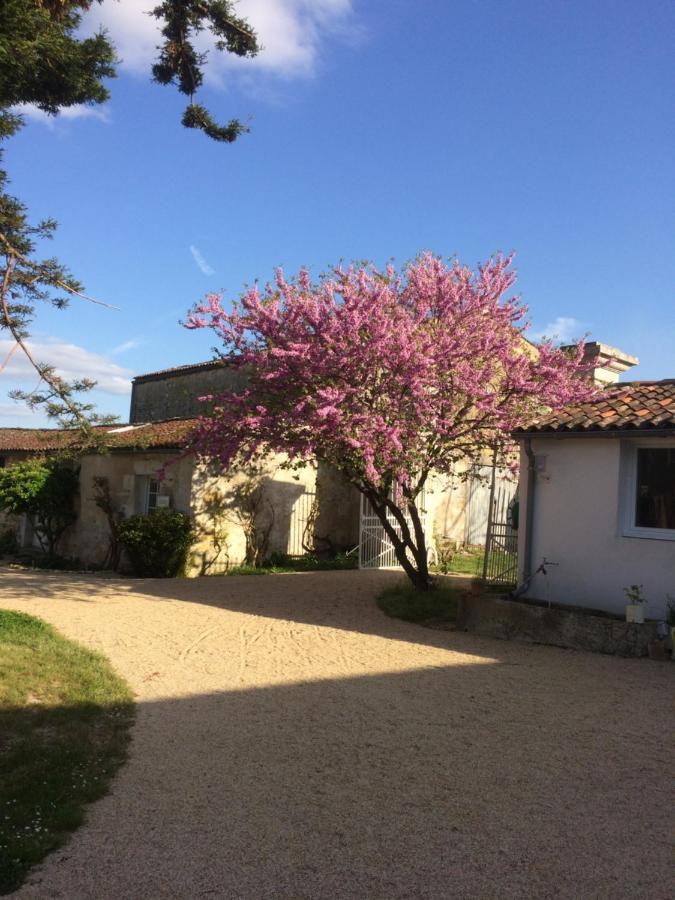 Bed and Breakfast Le Logis Du Plessis Chaniers Exterior foto